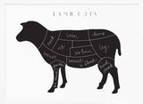 Lamb Cuts Diagram