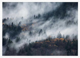 Misty Autumn Forest Art Print UK — Dark Moody Vibrant Wall Art — Living Room — Wall It All Prints