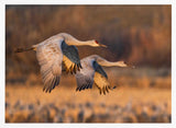 Graceful Cranes in Flight Art Print UK — Landscape Calm Wall Art — Living Room — Wall It All Prints