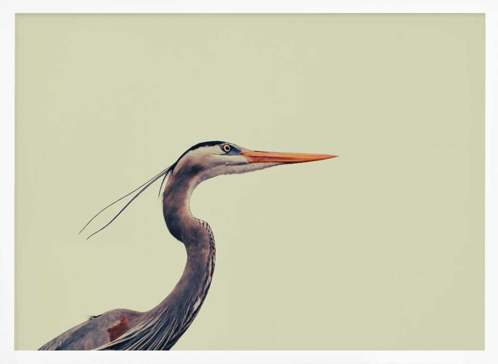 Elegant Blue Heron Art Print UK — Abstract Calm Wall Art — Bedroom — Wall It All Prints
