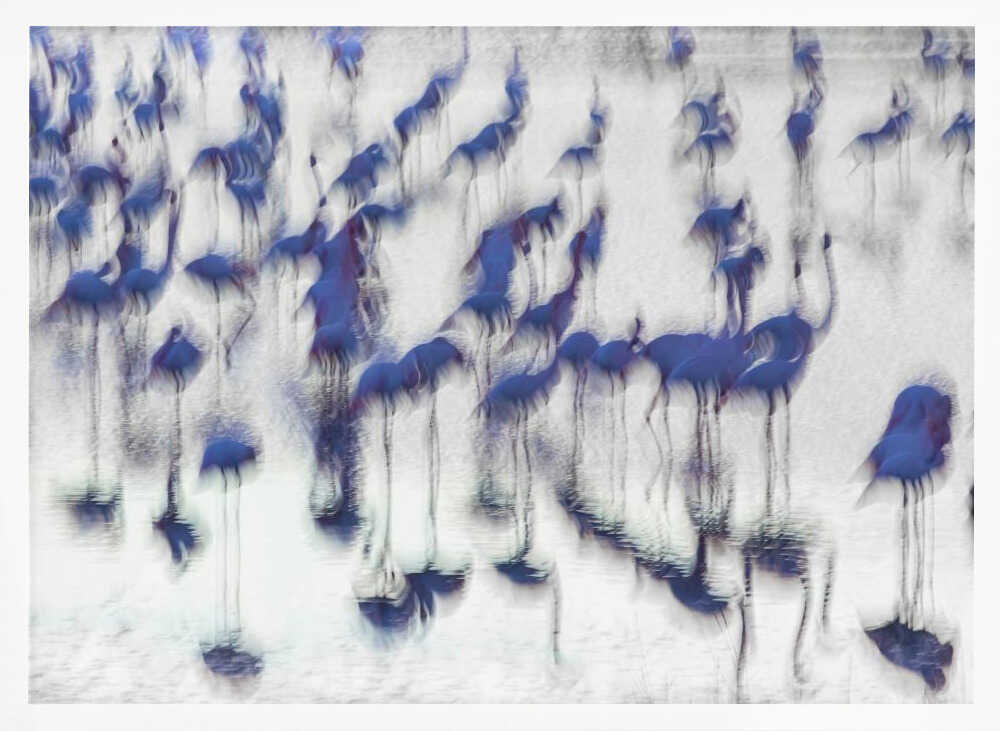 Fluid Blue Flamingos Art Print UK — Abstract Calm Wall Art — Office — Wall It All Prints
