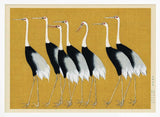Japanese Red Crown Crane
