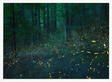 Forest Firefly Glow Art Print UK — Dark Moody Calm Wall Art — Bathroom — Wall It All Prints