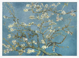 Vincent Van Gogh's Almond Blossom (1890)