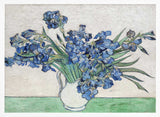 Vincent Van Gogh's Irises (1890).