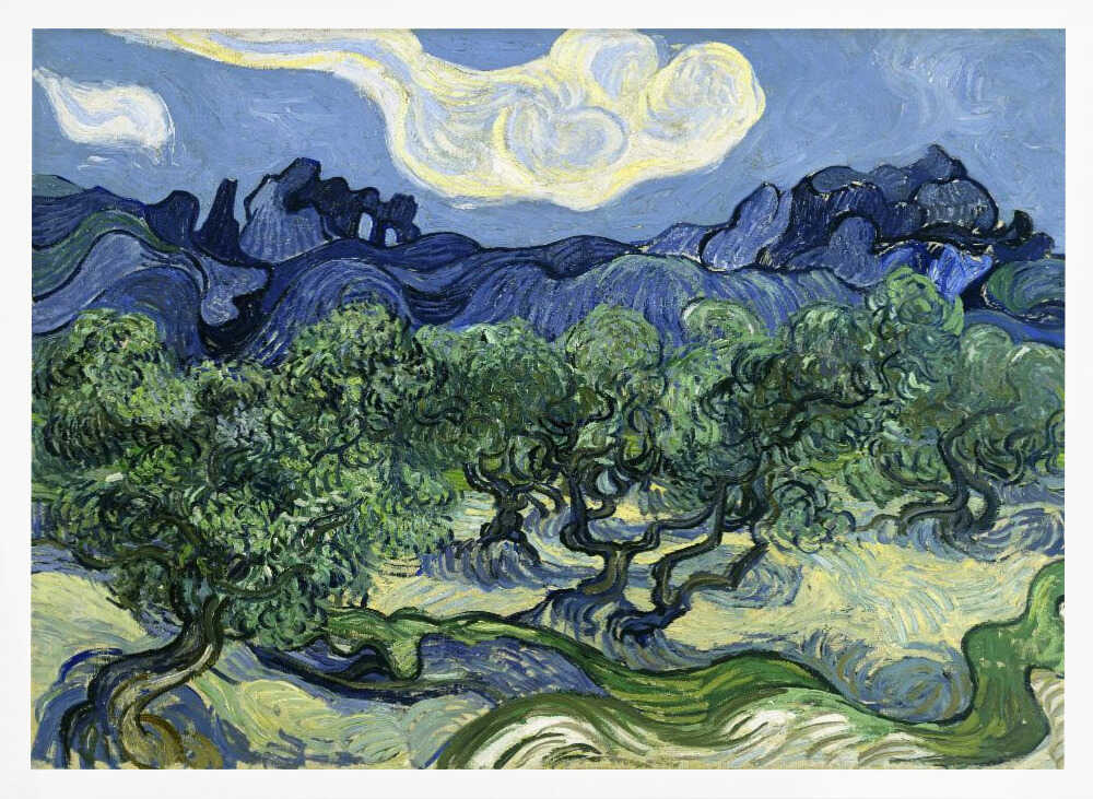 Vincent Van Gogh's Olive Trees With the Alpilles In the Background (1889)