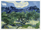 Vincent Van Gogh's Olive Trees With the Alpilles In the Background (1889)