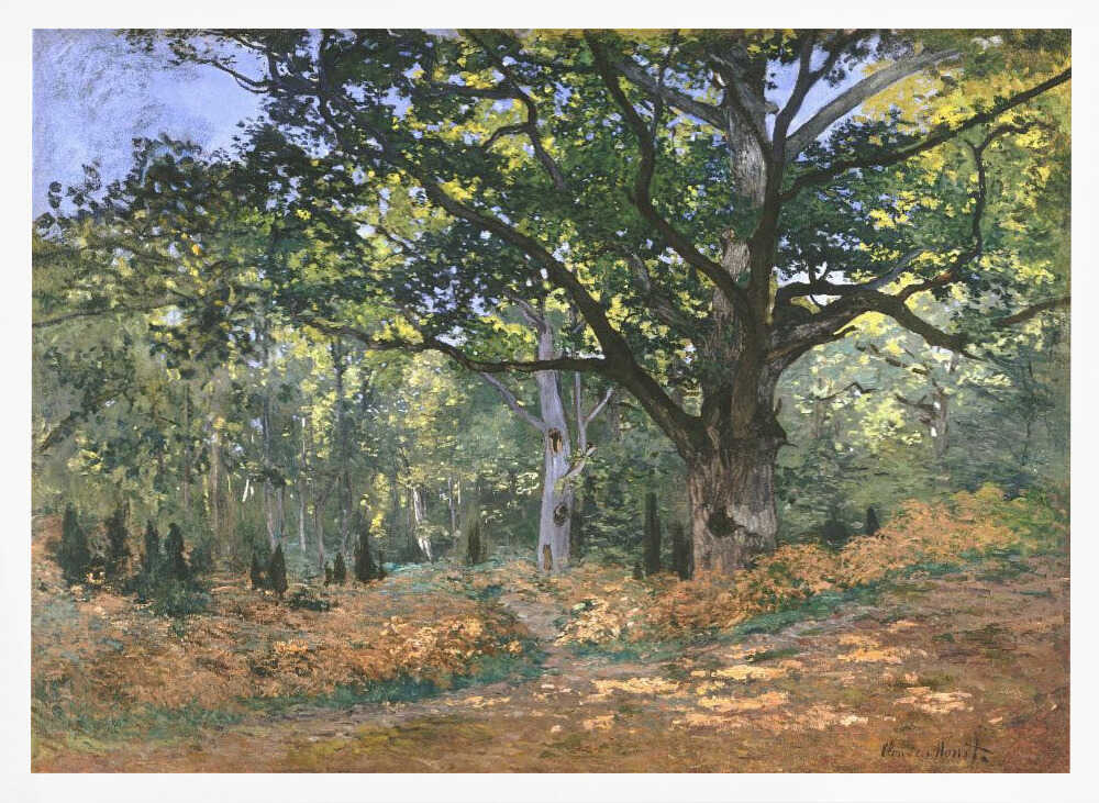 The Bodmer Oak, Fontainebleau Forest (1865) By Claude Monet Claude Monet