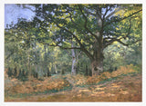 The Bodmer Oak, Fontainebleau Forest (1865) By Claude Monet Claude Monet