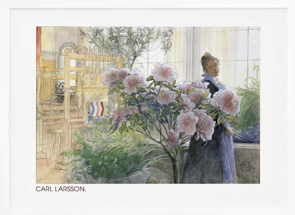 Azalea (1906)
