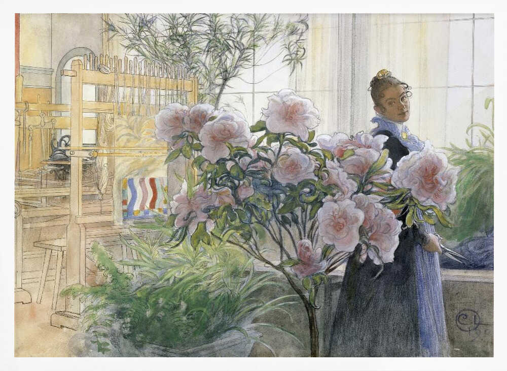 Azalea (1906)