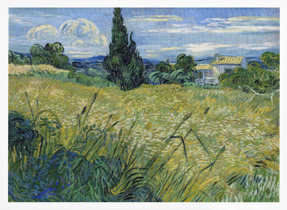 Green Wheat Field With Cypress (1889)