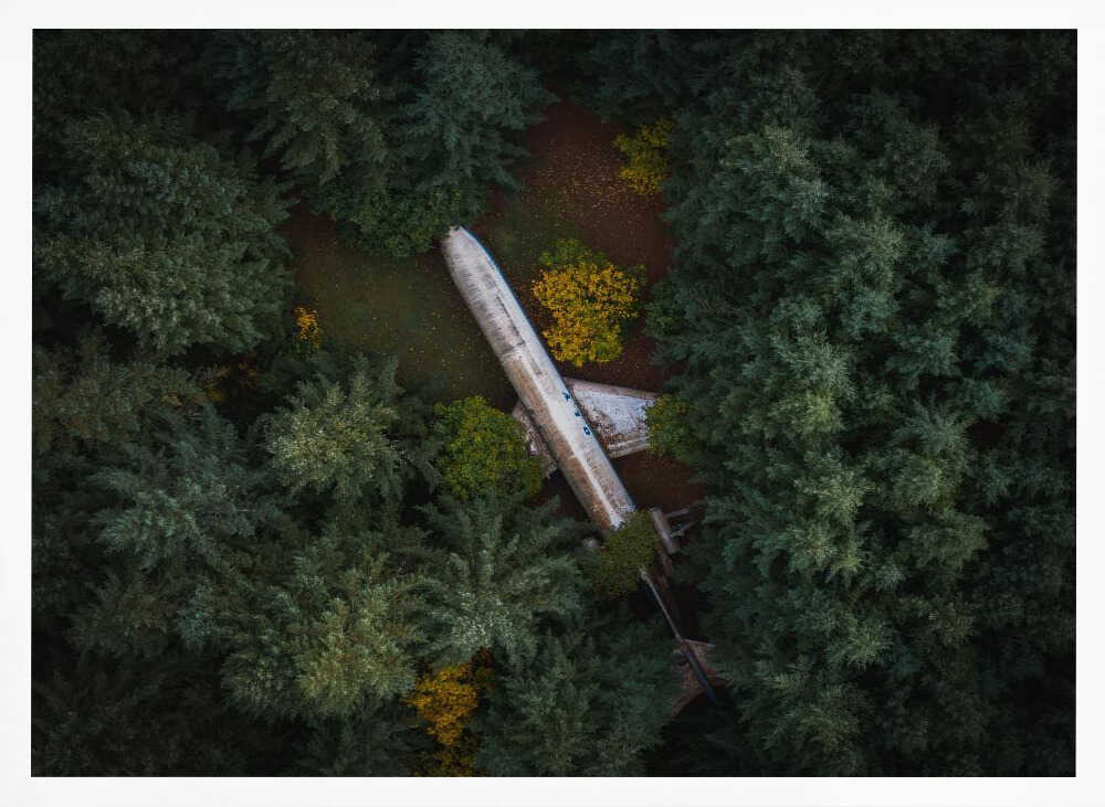 Abandoned Plane in Forest Art Print UK — Landscape Vibrant Wall Art — Living Room — Wall It All Prints