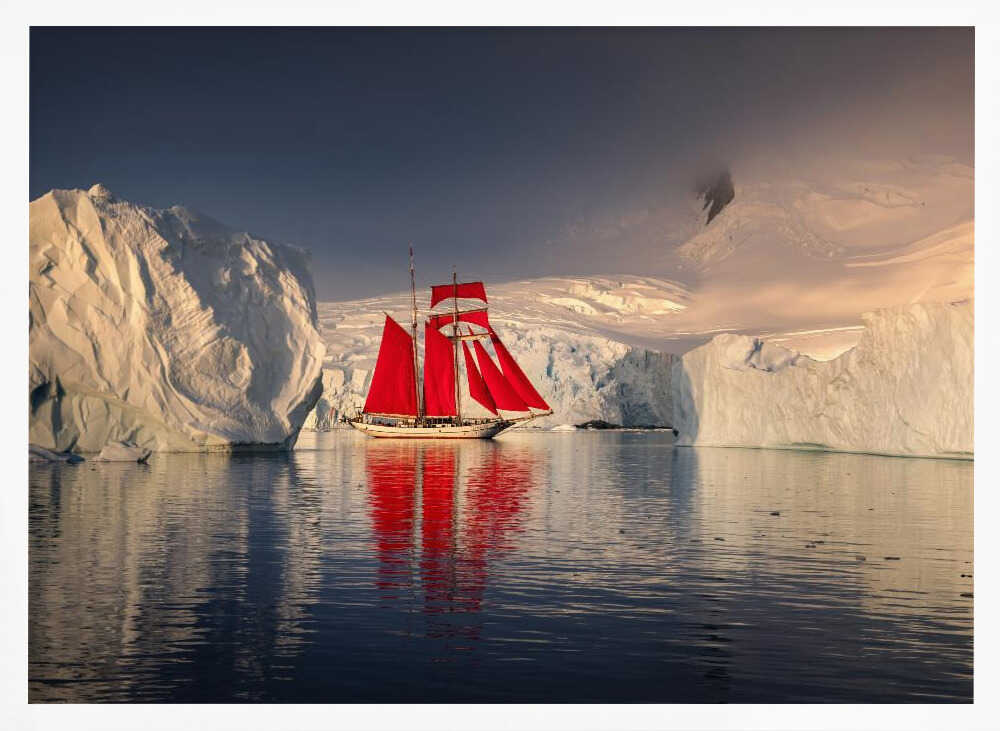 Red Sails Polar Expedition Karol Nienartowicz