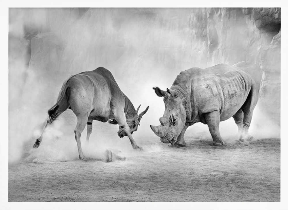 Rhino Eland Showdown Art Print UK — Animal Dark Wall Art — Living Room — Wall It All Prints
