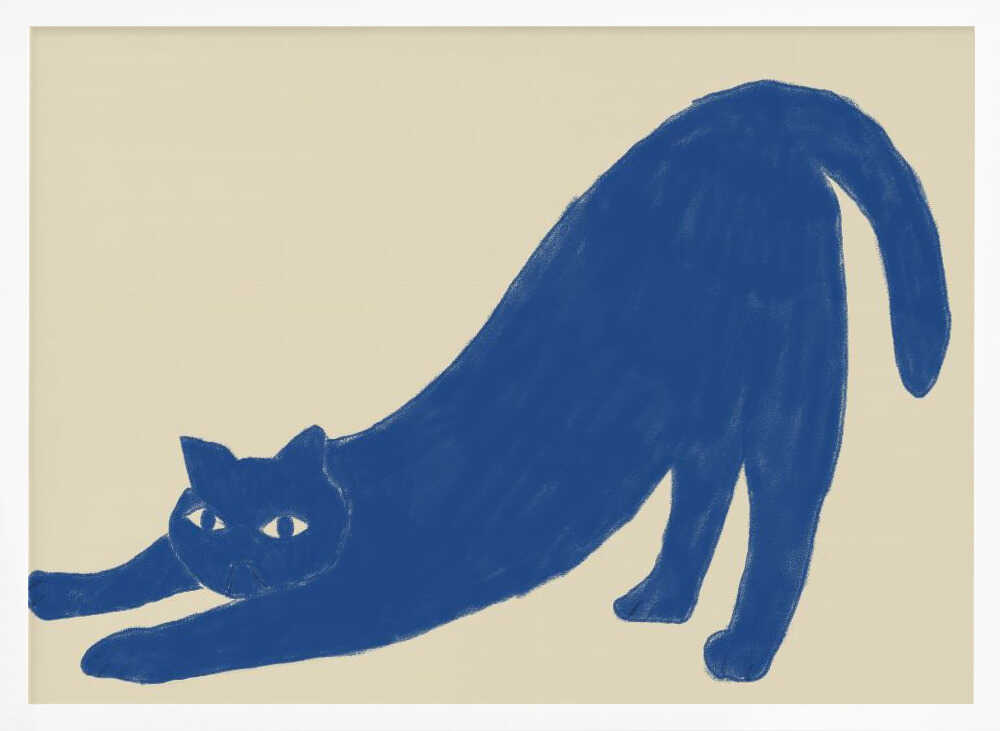 Stretching Blue Cat