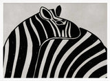 Zebra Love