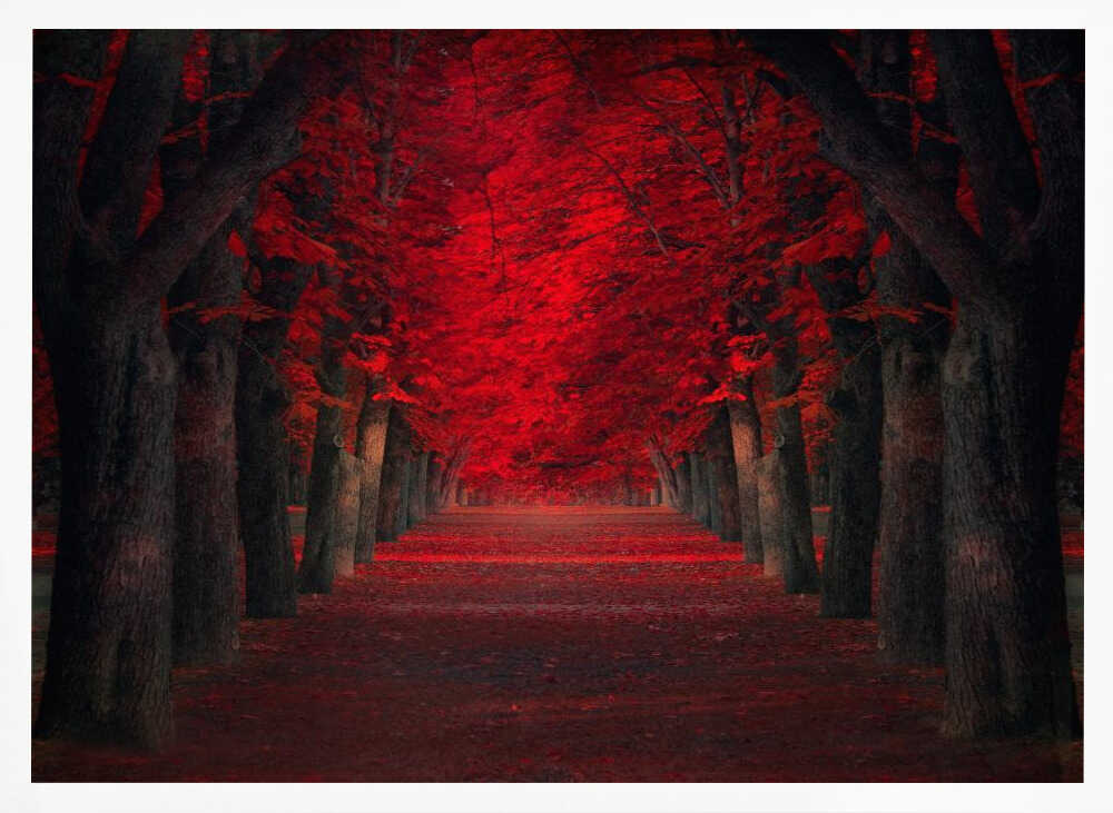 Vibrant Red Tree Pathway Art Print UK — Botanical Vibrant Wall Art — Living Room — Wall It All Prints