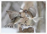 Winter Birds Battle Art Print UK — Animal Vibrant Wall Art — Bathroom — Wall It All Prints