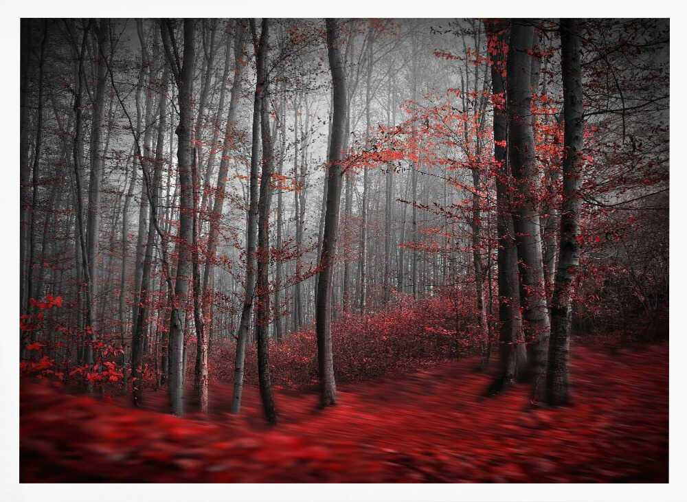 Misty Red Forest Art Print UK — Dark Moody Dark Wall Art — Living Room — Wall It All Prints