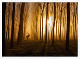Golden Forest Stag