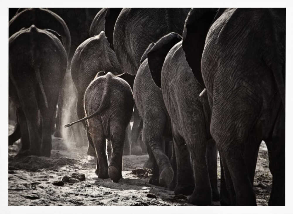 Dusty Elephant Family Art Print UK — Dark Moody Dark Wall Art — Nursery — Wall It All Prints