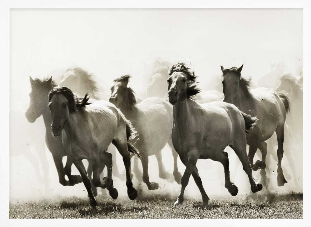 Galloping Wild Horses Art Print UK — Animal Vibrant Wall Art — Living Room — Wall It All Prints