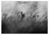 Misty Flight Through Reeds Art Print UK — Abstract Calm Wall Art — Living Room — Wall It All Prints