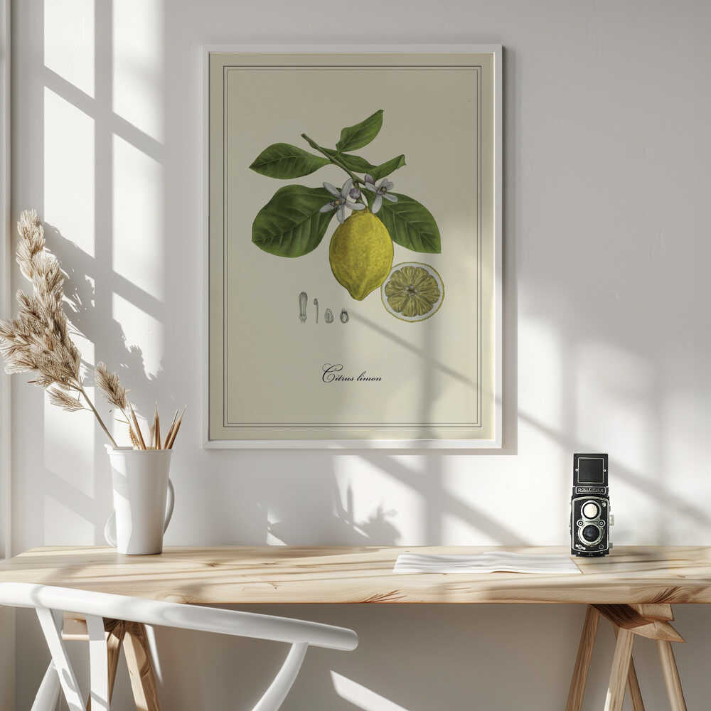 Lemon and Blossoms Art Print UK — Botanical Vibrant Wall Art — Kitchen — Wall It All Prints