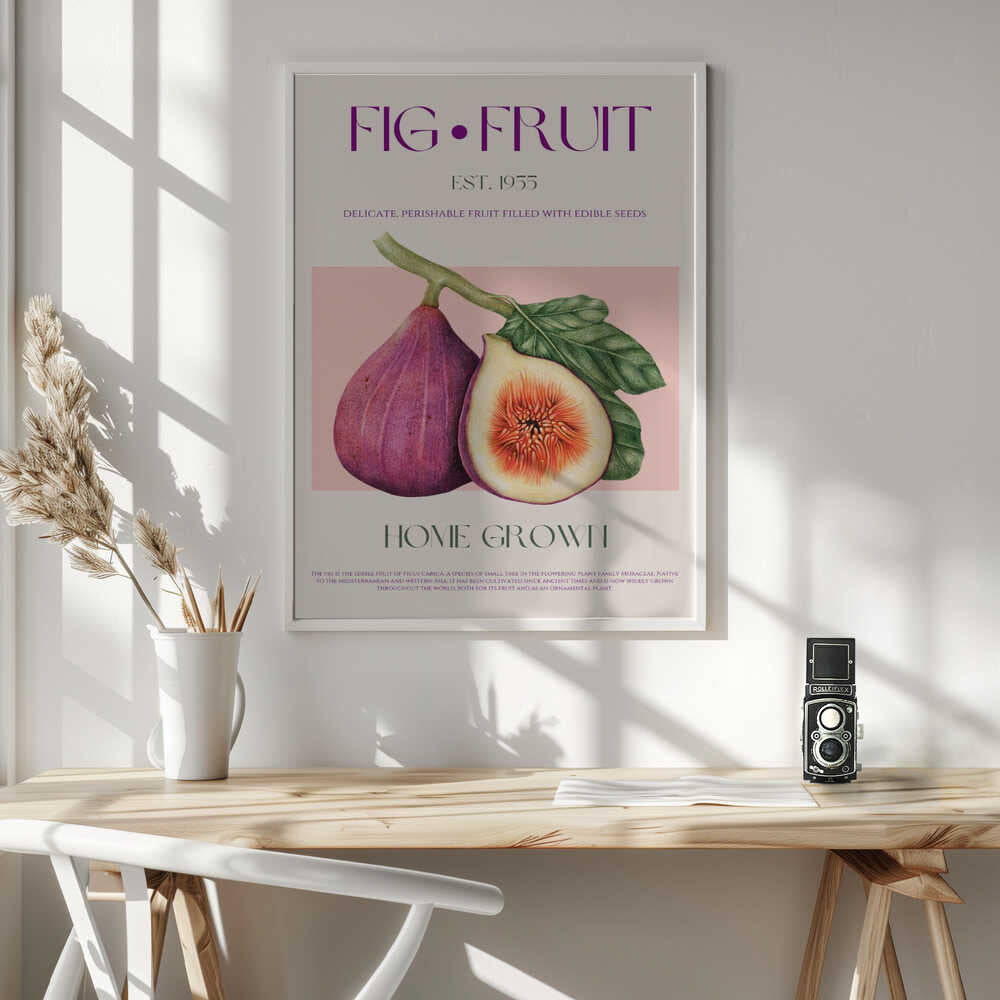 Vintage Fig Fruit Art Print UK — Botanical Fresh Wall Art — Kitchen — Wall It All Prints