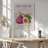 Vintage Fig Fruit