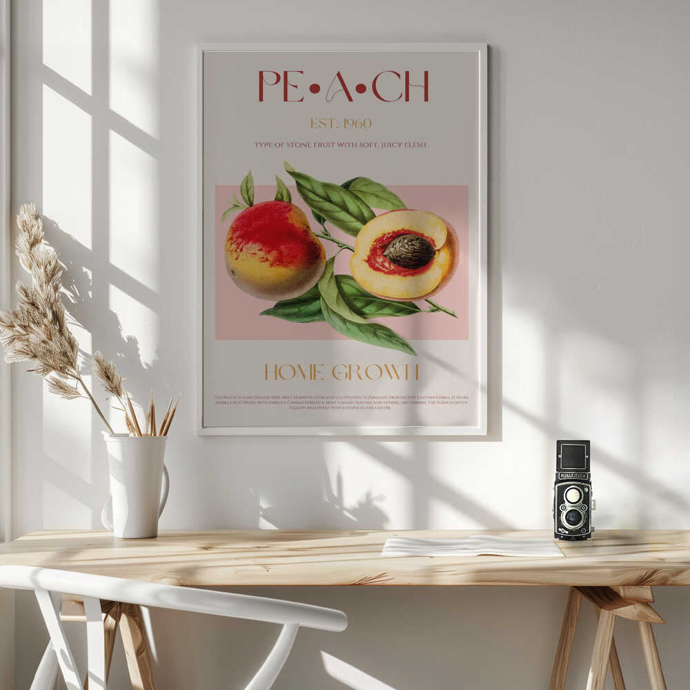 Vintage Peach Botanical Art Print UK — Botanical Fresh Wall Art — Kitchen — Wall It All Prints
