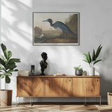 Blue Crane or Heron From Birds of America (1827)