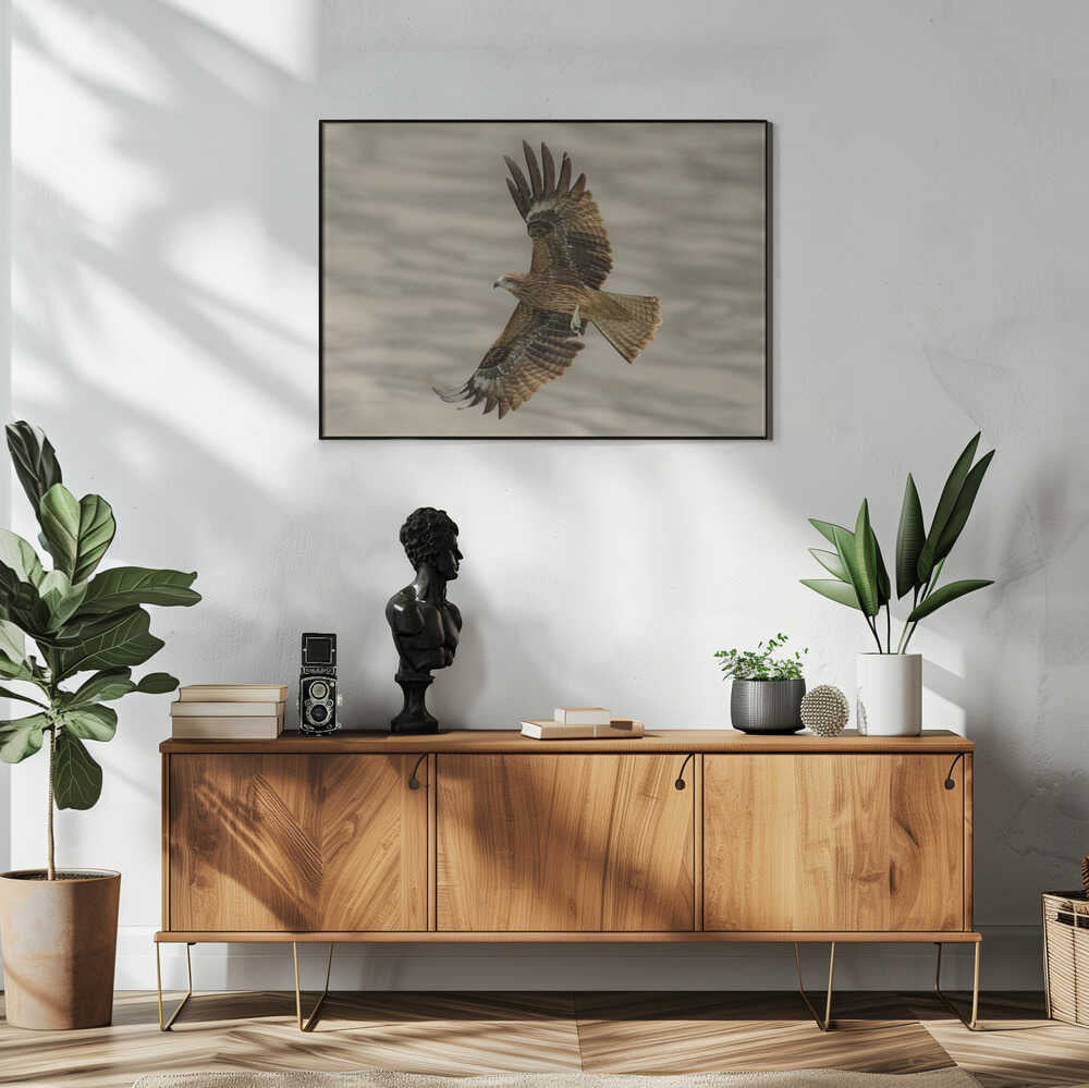 Raptor in Flight Art Print UK — Animal Fresh Wall Art — Living Room — Wall It All Prints