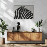 Zebra Love