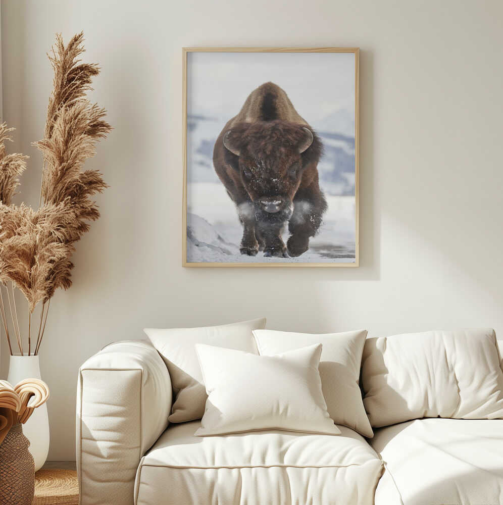 Bison Winter Walk Art Print UK — Portrait Vibrant Wall Art — Living Room — Wall It All Prints
