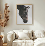 Gentle Equine Gaze