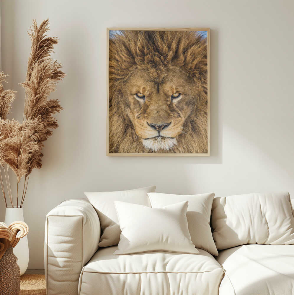Intense Lion Gaze Art Print UK — Portrait Warm Wall Art — Living Room — Wall It All Prints