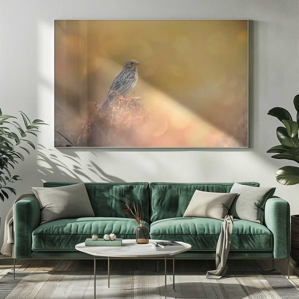 Sparrow In Golden Light Art Print UK — Animal Calm Wall Art — Bathroom — Wall It All Prints