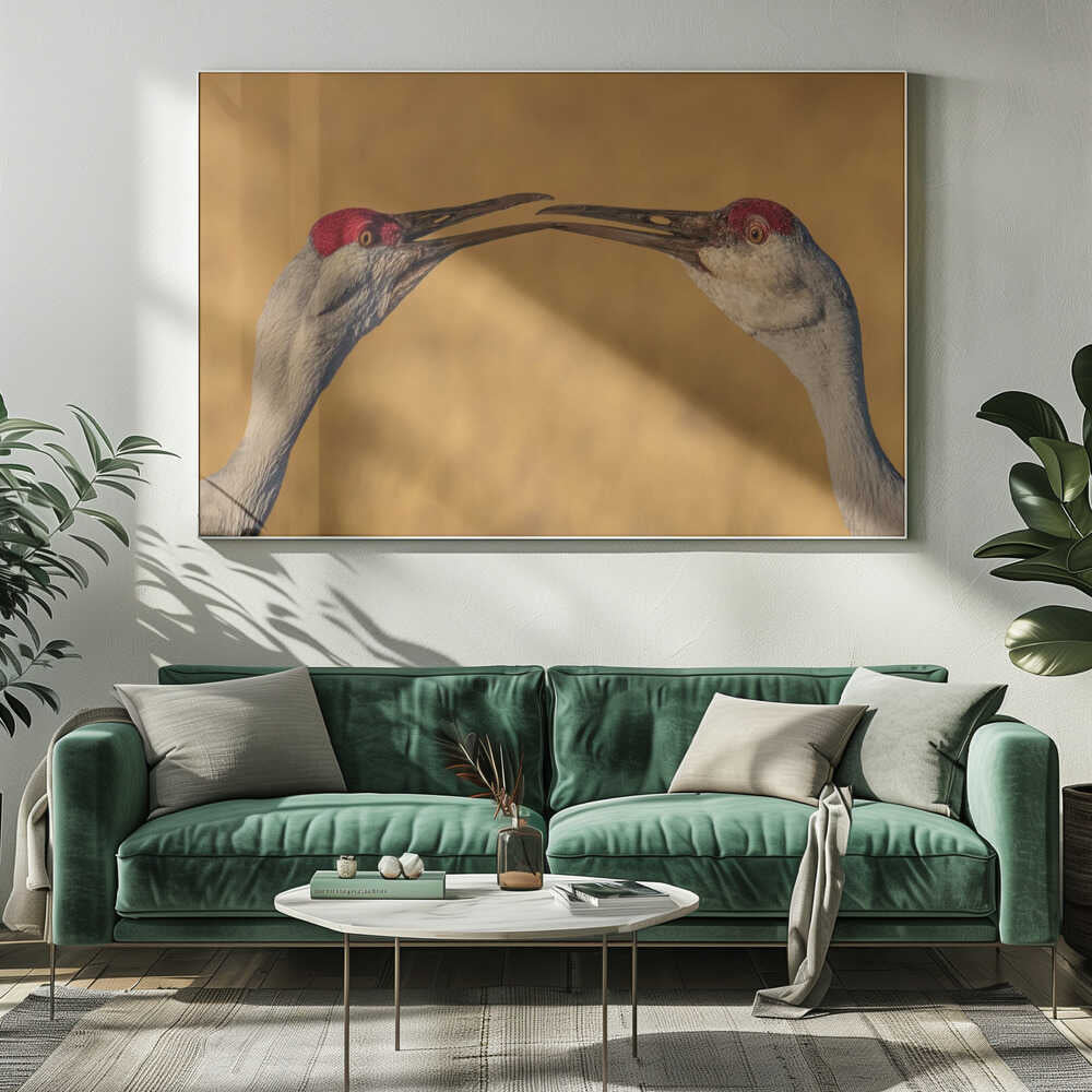 Gentle Crane Kiss Art Print UK — Animal Calm Wall Art — Living Room — Wall It All Prints