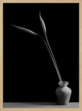 Elegant Botanical Still Life
