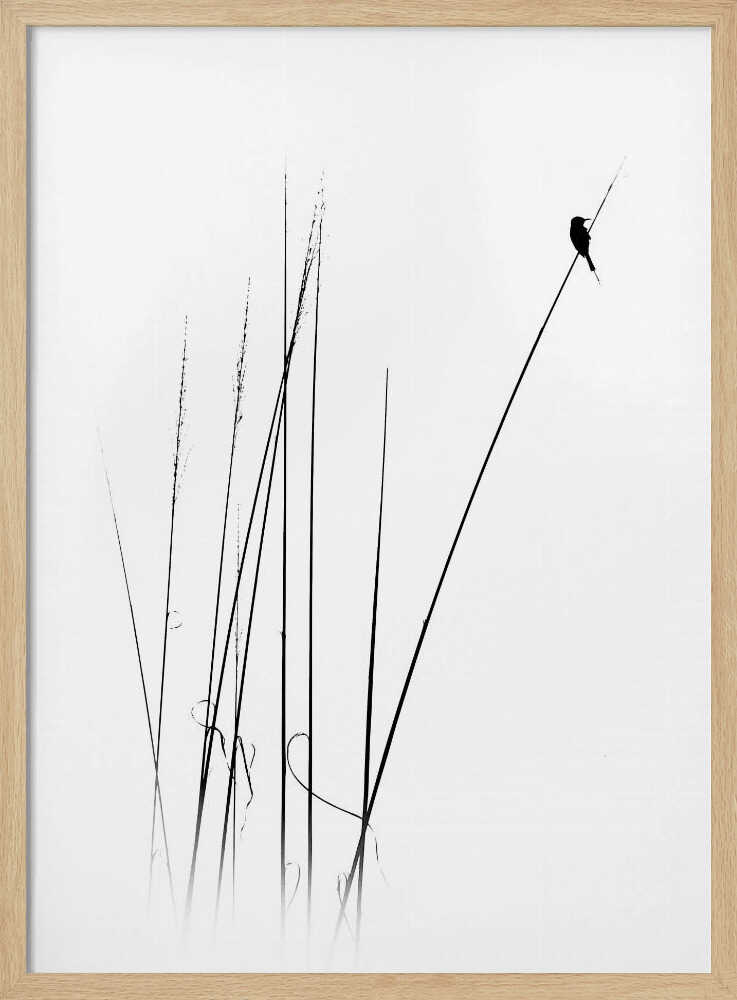 Graceful Reed Bird Art Print UK — Botanical Calm Wall Art — Bedroom — Wall It All Prints