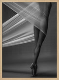 Graceful Ballet Form