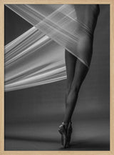 Graceful Ballet Form