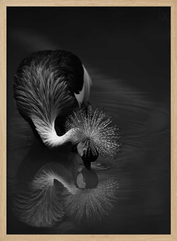 Elegant Crane Reflection Art Print UK — Dark Moody Calm Wall Art — Bedroom — Wall It All Prints