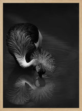 Elegant Crane Reflection Art Print UK — Dark Moody Calm Wall Art — Bedroom — Wall It All Prints