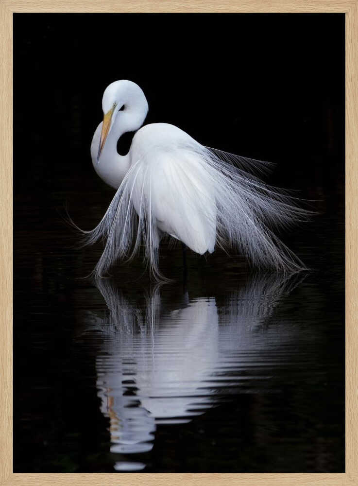 Graceful Egret Reflection Art Print UK — Abstract Calm Wall Art — Bedroom — Wall It All Prints