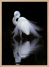 Graceful Egret Reflection Art Print UK — Abstract Calm Wall Art — Bedroom — Wall It All Prints