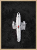 Red Jacket Plane Wreck
