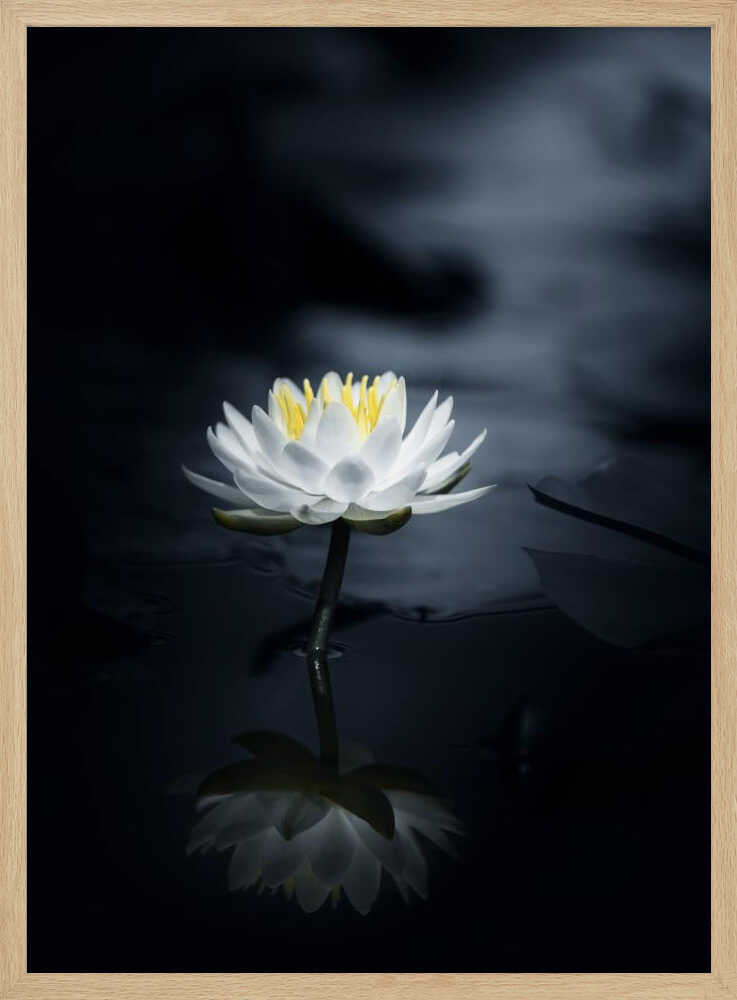 White Lotus Reflection Art Print UK — Japanese Calm Wall Art — Bedroom — Wall It All Prints